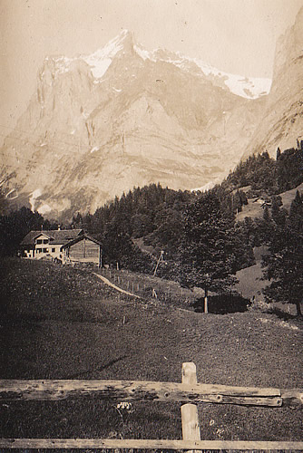 View of Wetterhorn